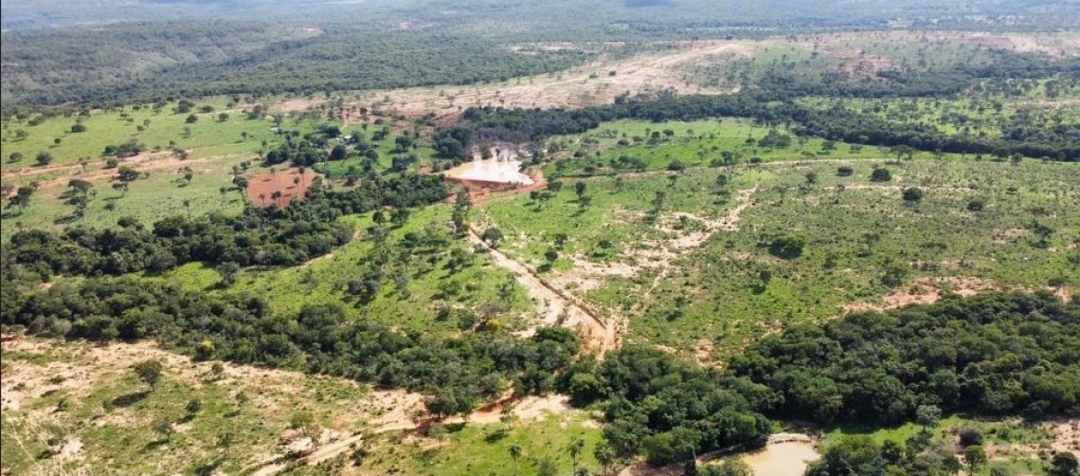 Fazenda, 687 hectares - Foto 2