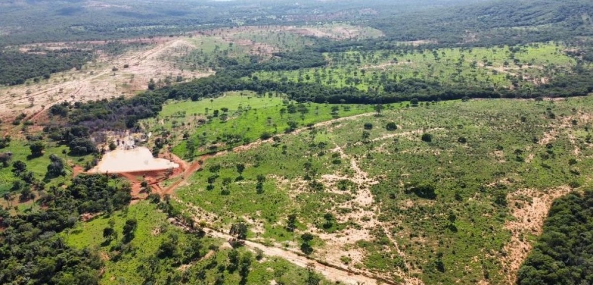 Fazenda, 687 hectares - Foto 8