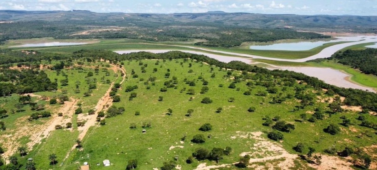Fazenda, 687 hectares - Foto 12