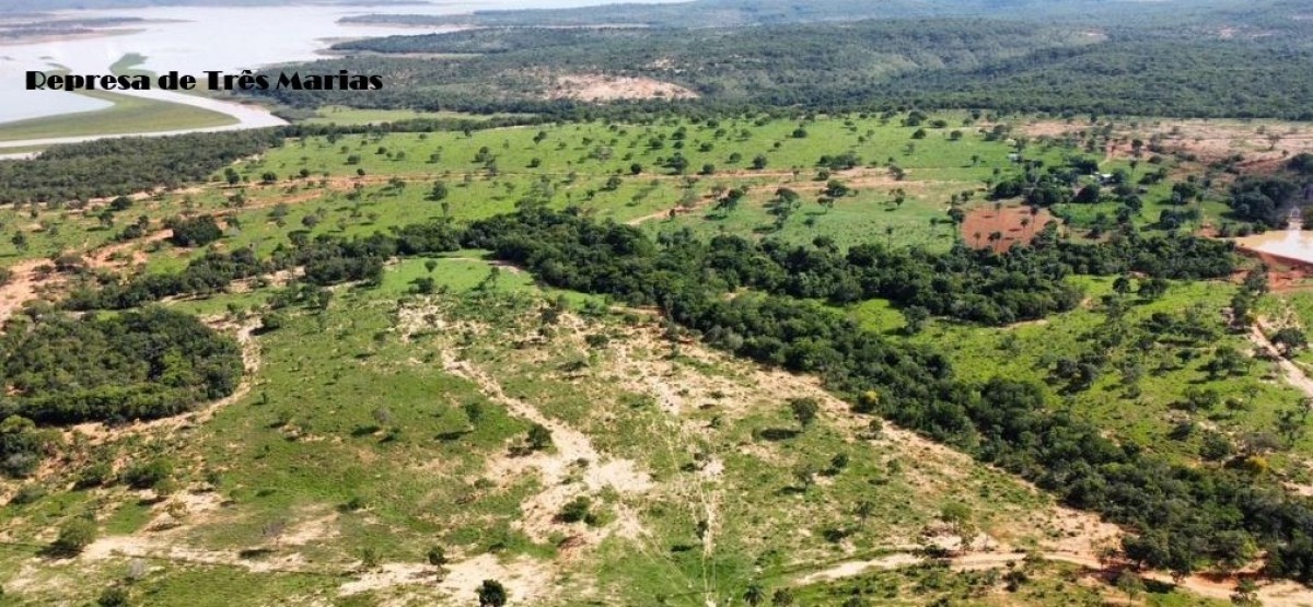 Fazenda, 687 hectares - Foto 3