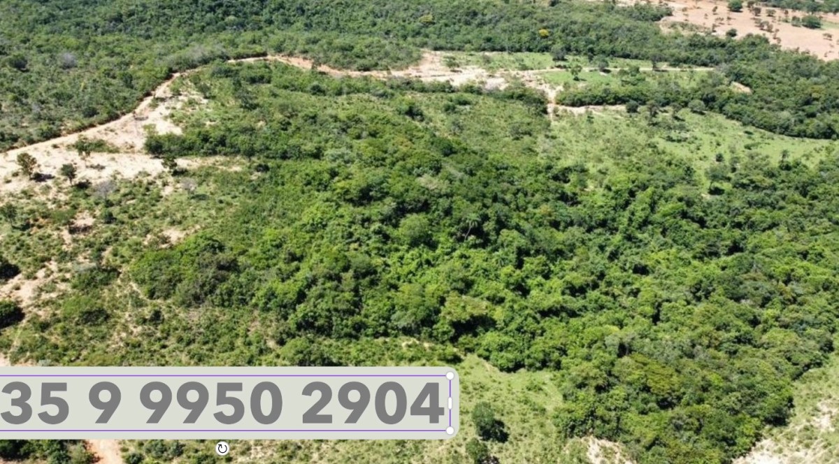 Fazenda, 687 hectares - Foto 15