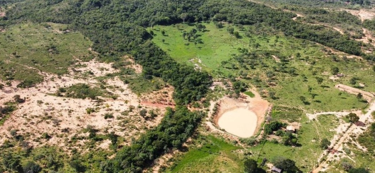 Fazenda, 687 hectares - Foto 6