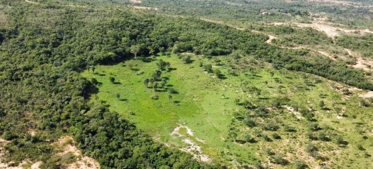Fazenda, 687 hectares - Foto 4