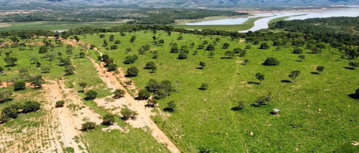 Fazenda, 687 hectares - Foto 10