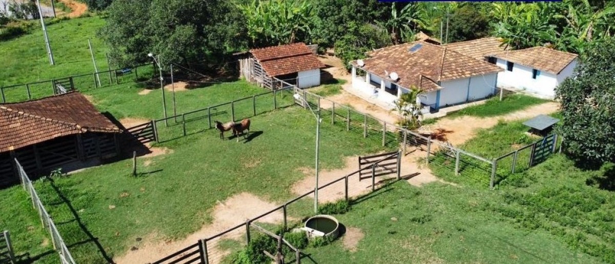 Fazenda, 687 hectares - Foto 9