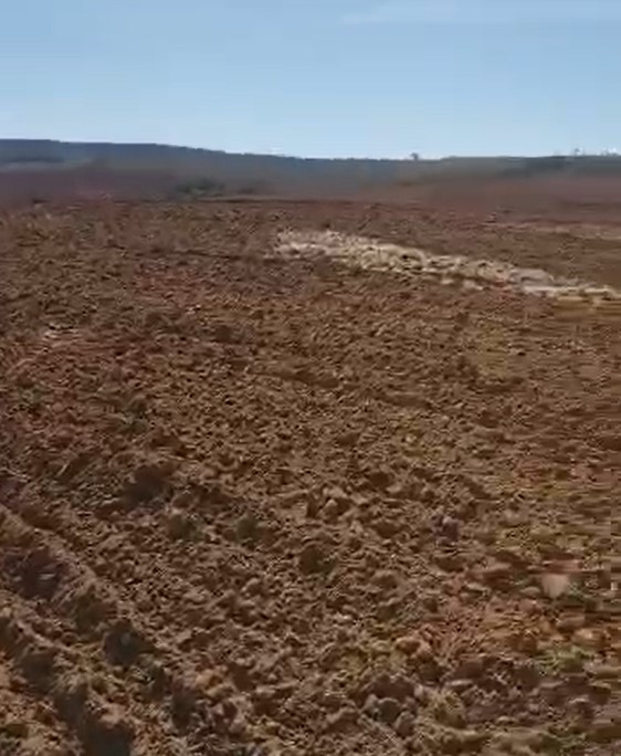 Fazenda, 167 hectares - Foto 4