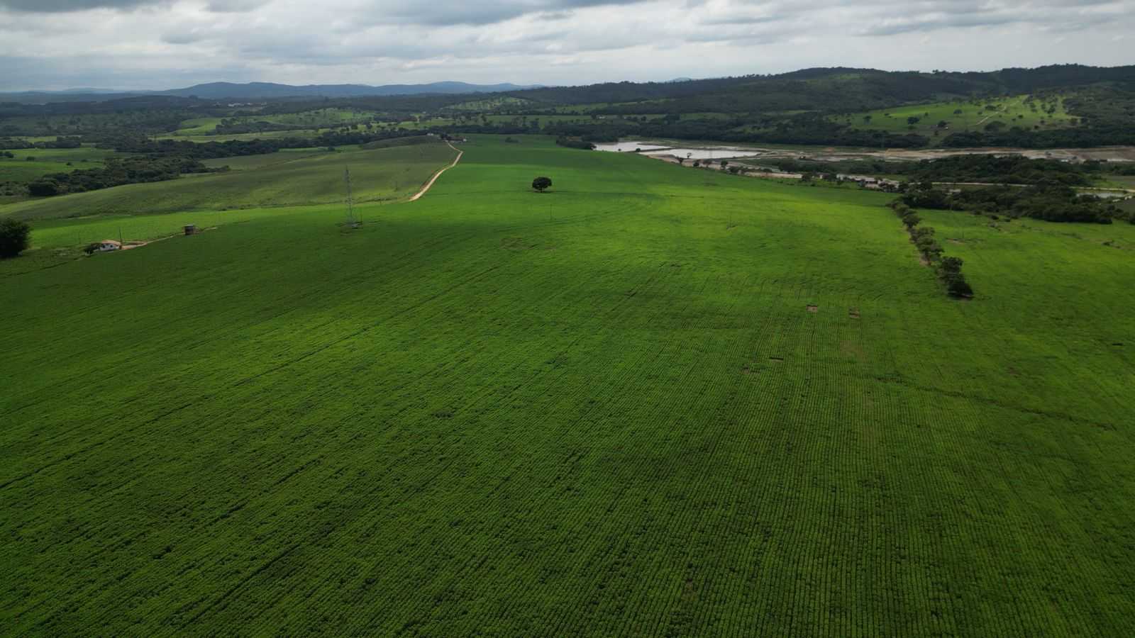 Fazenda, 170 hectares - Foto 13
