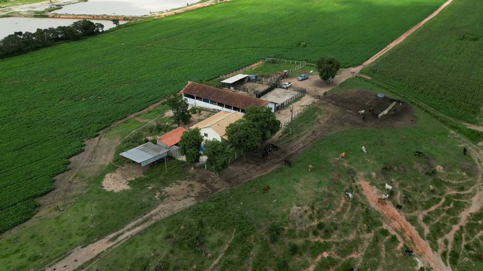 Fazenda, 170 hectares - Foto 3