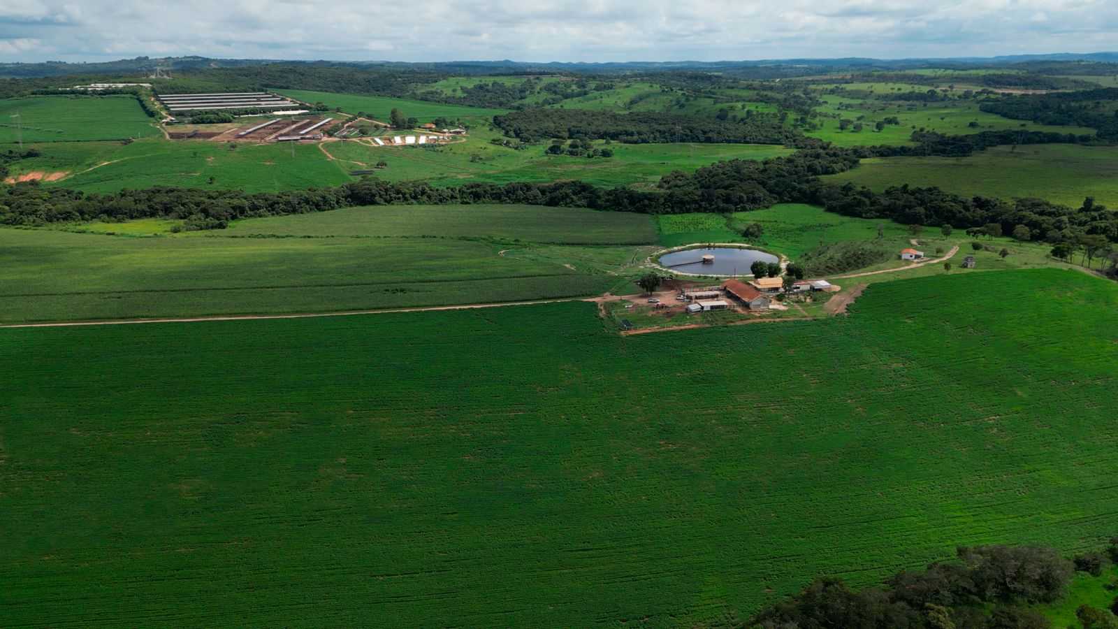 Fazenda, 170 hectares - Foto 12