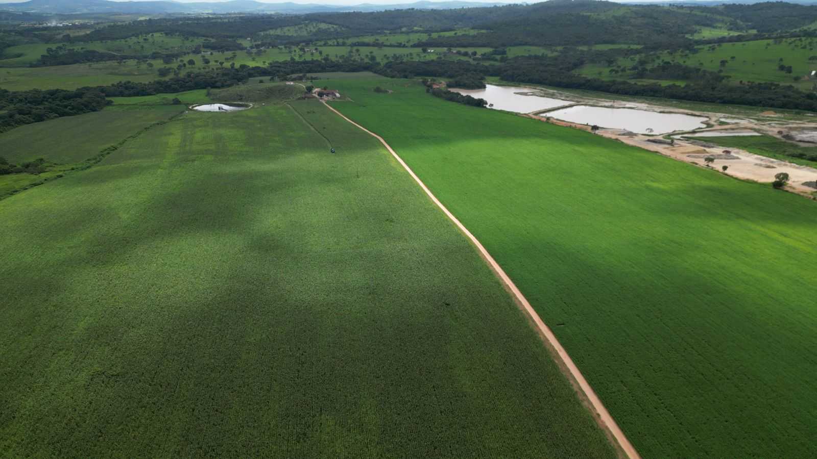 Fazenda, 170 hectares - Foto 7