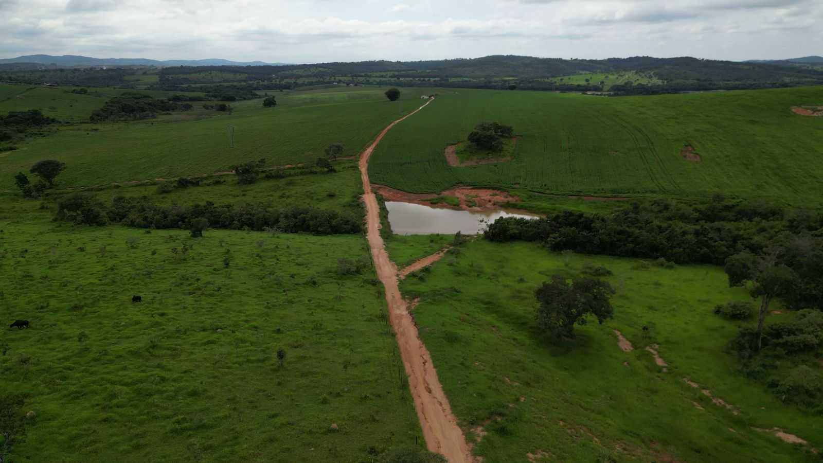 Fazenda, 170 hectares - Foto 9