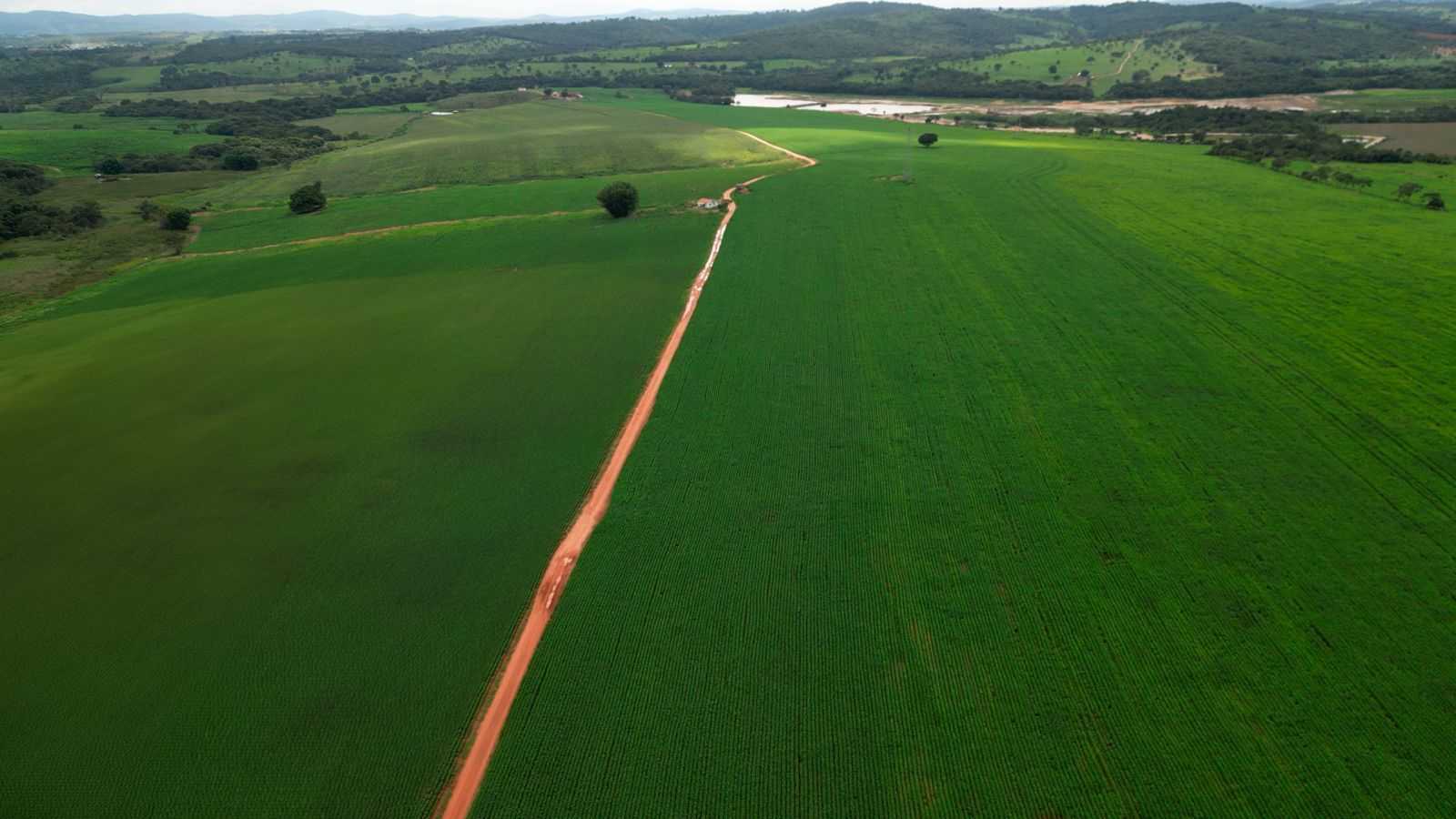 Fazenda, 170 hectares - Foto 8