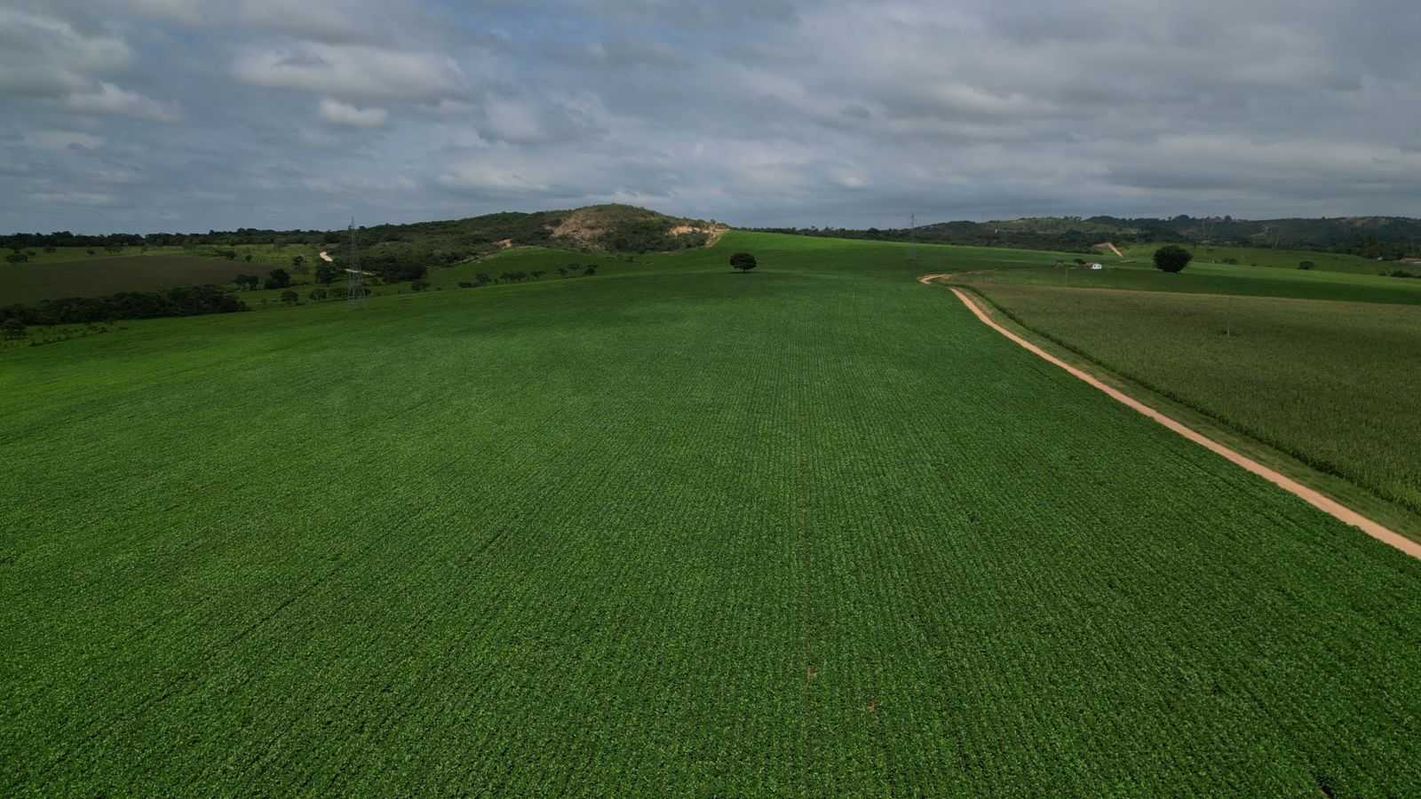 Fazenda, 170 hectares - Foto 11
