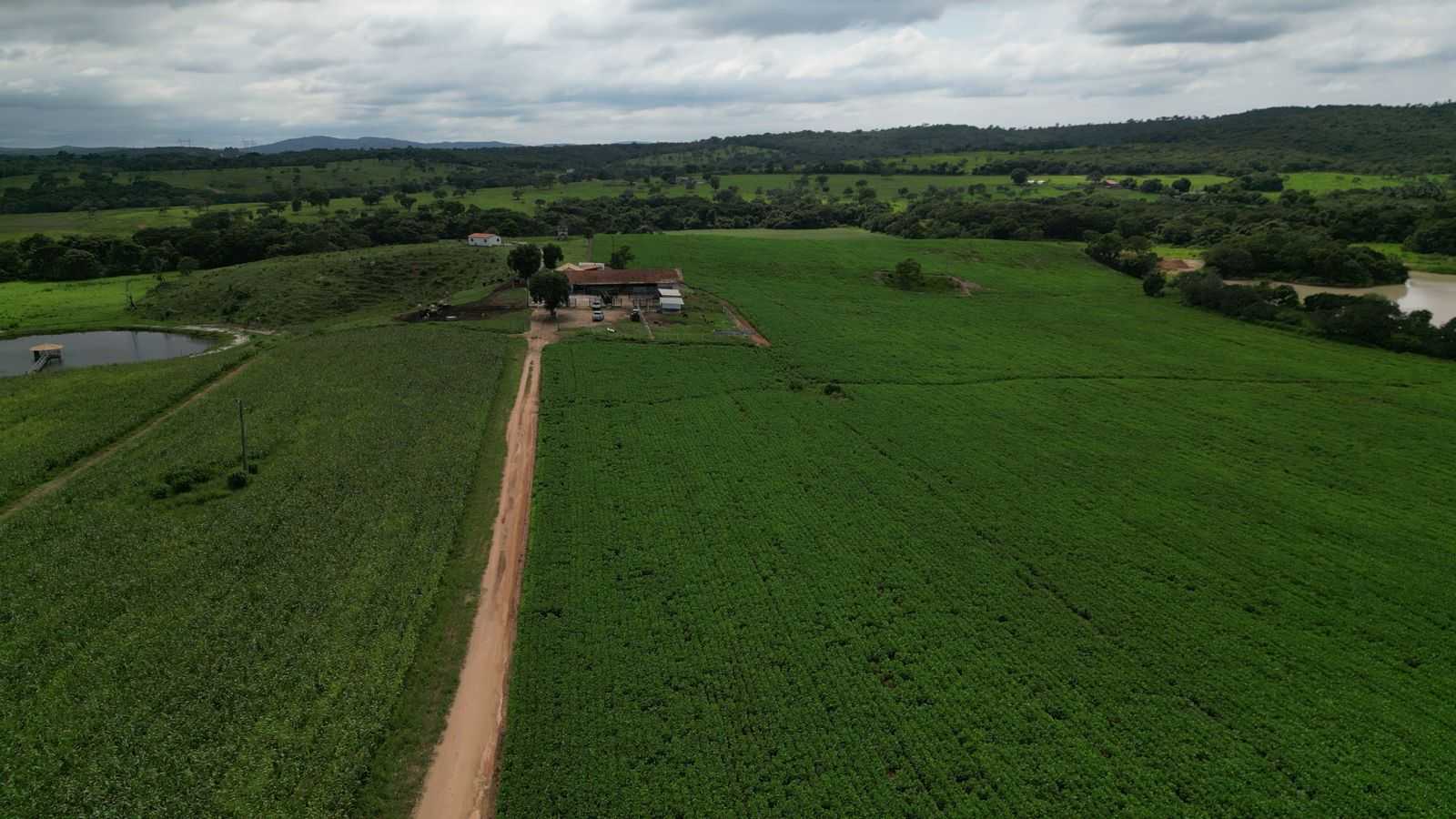 Fazenda, 170 hectares - Foto 6