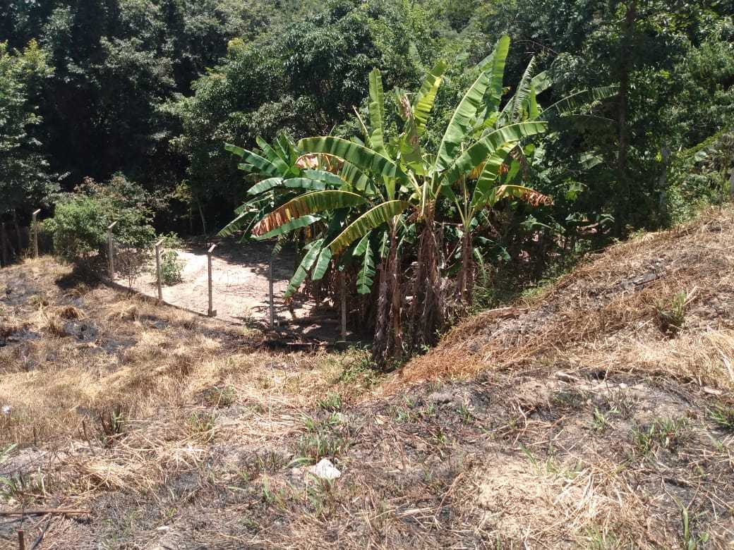 Terreno, 1017 m² - Foto 2