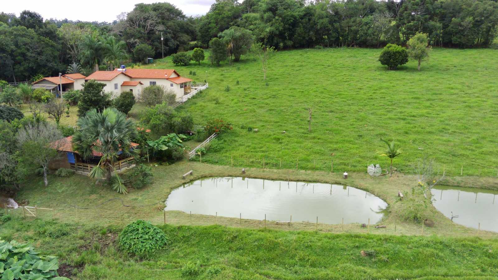 Chácara, 4 quartos, 6 hectares - Foto 13