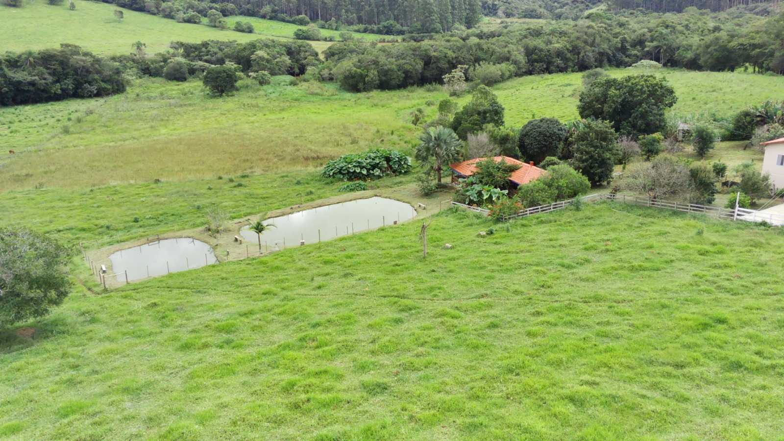 Chácara, 4 quartos, 6 hectares - Foto 6