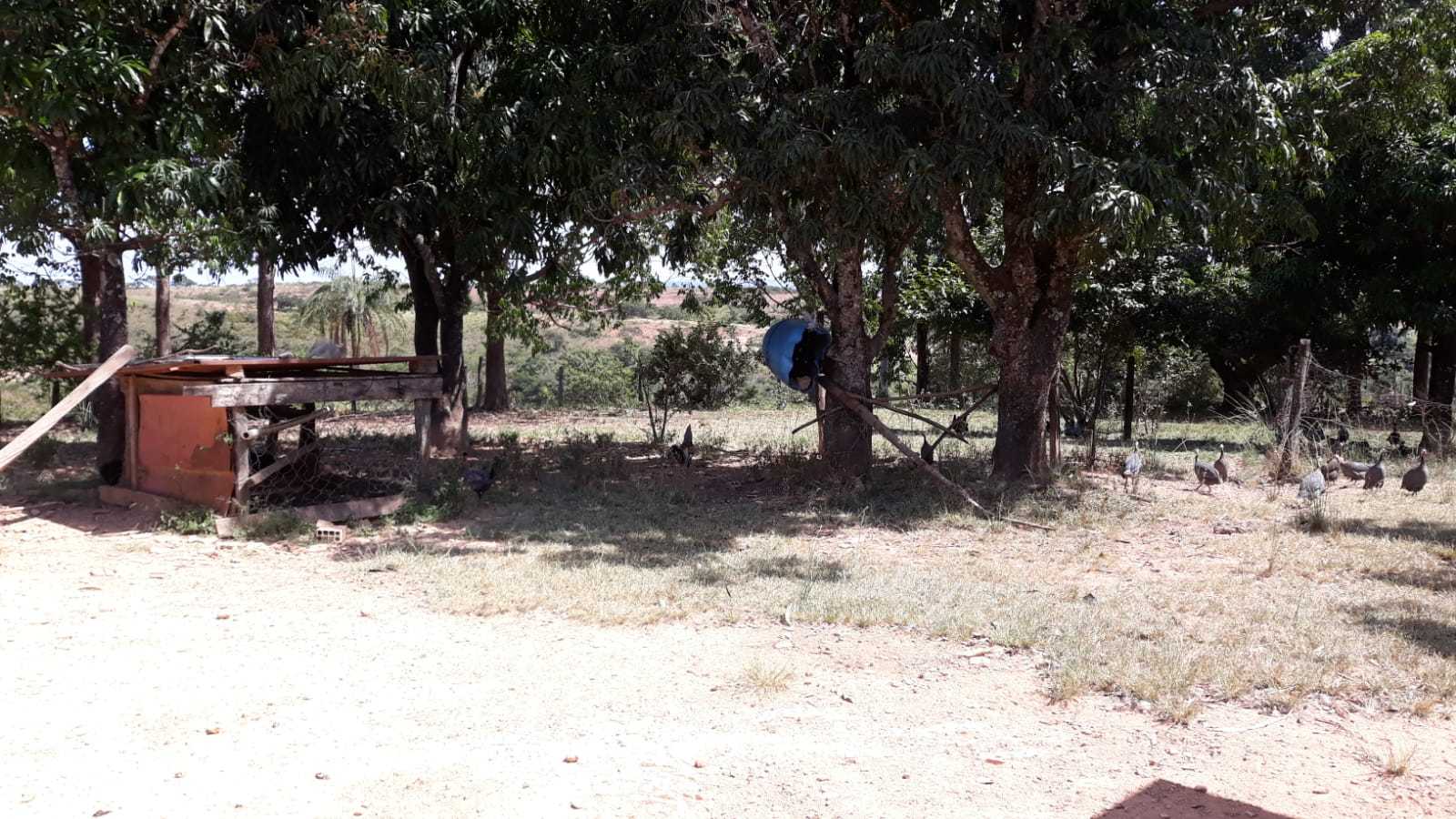 Fazenda, 752 hectares - Foto 15