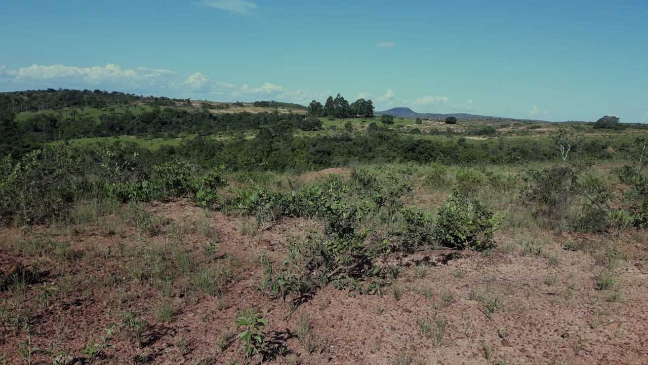 Fazenda, 752 hectares - Foto 1