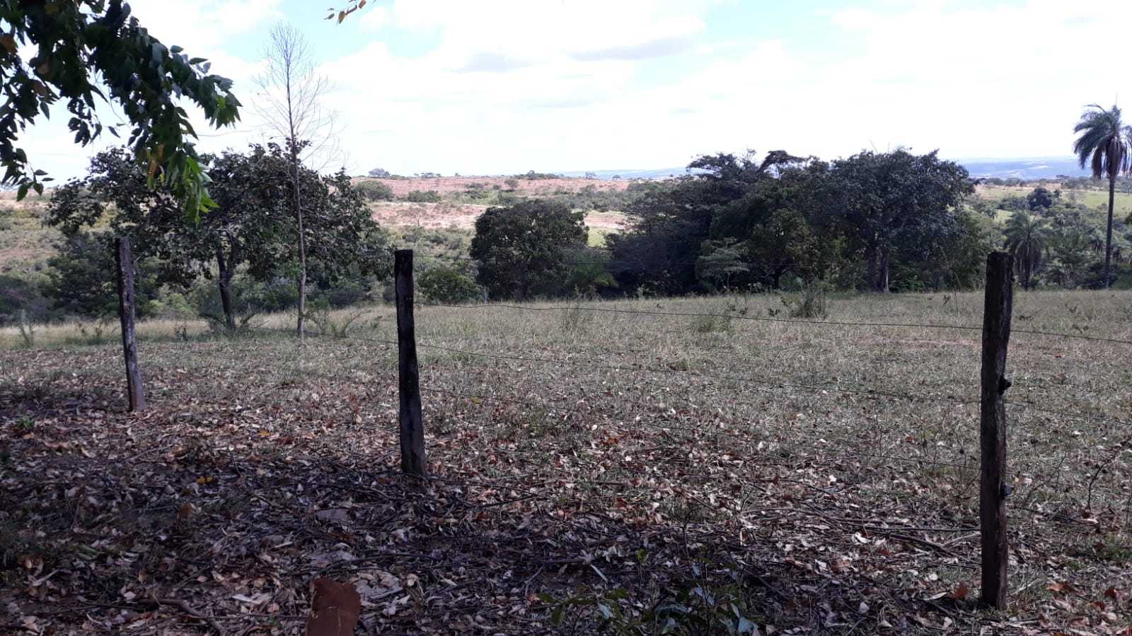 Fazenda, 752 hectares - Foto 11