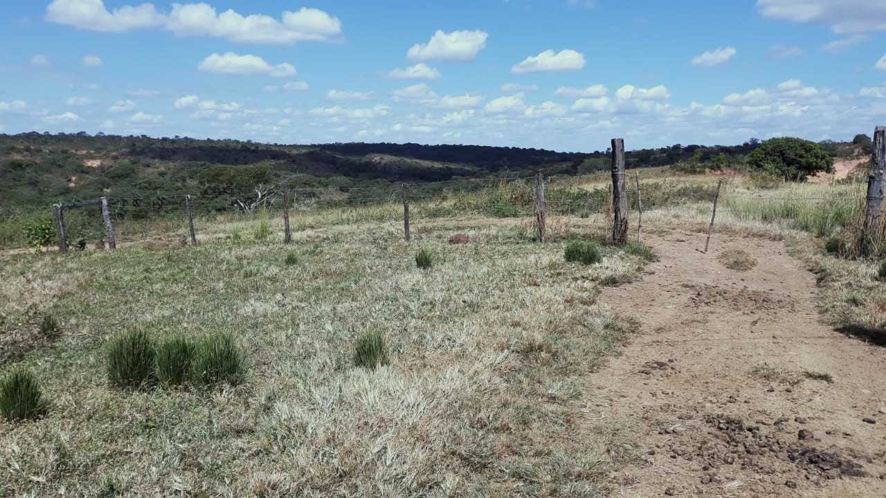 Fazenda, 752 hectares - Foto 4