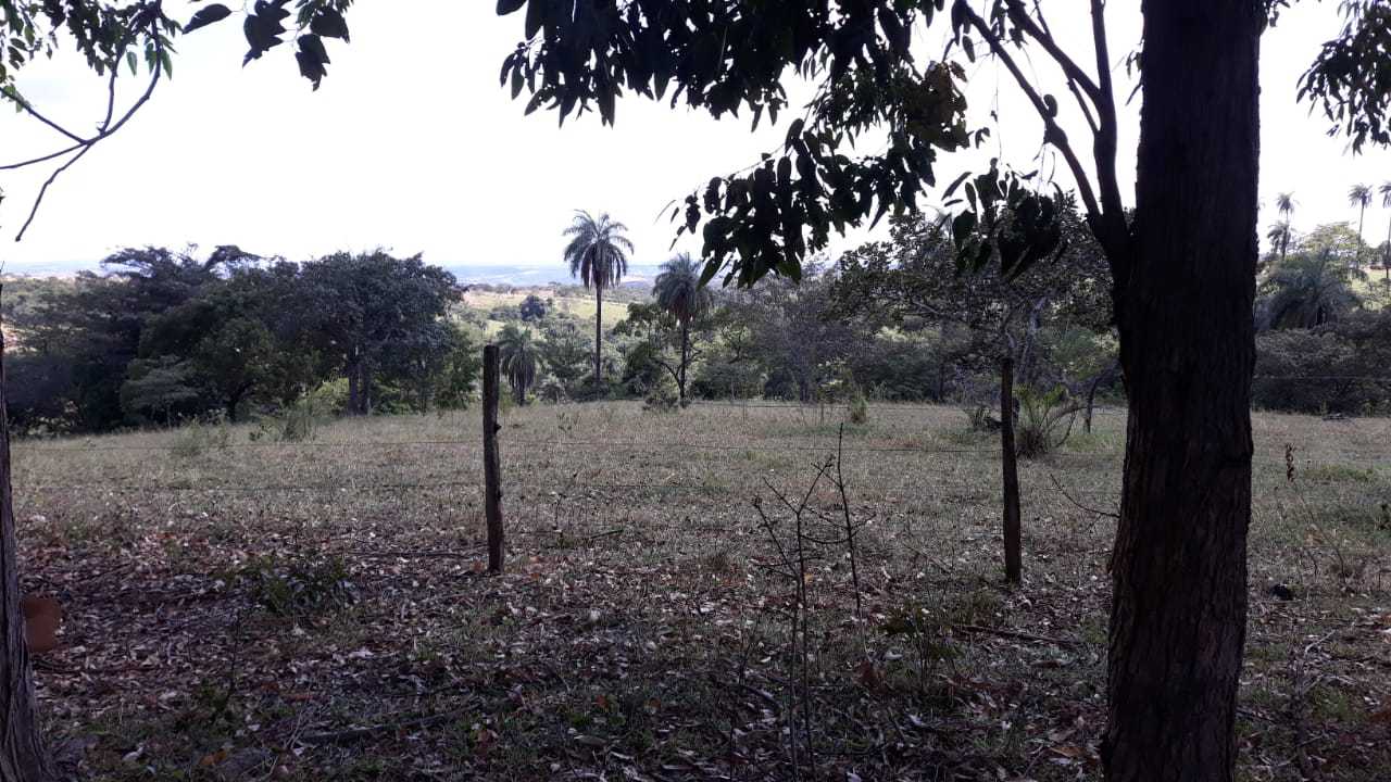 Fazenda, 752 hectares - Foto 6