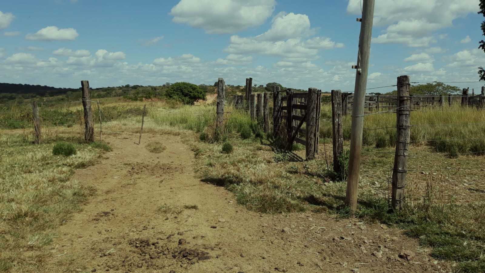 Fazenda, 752 hectares - Foto 9