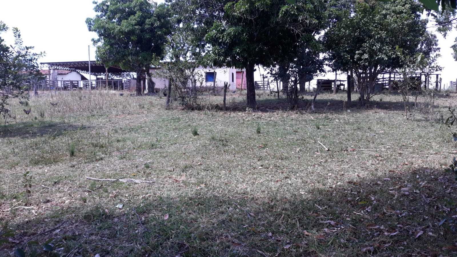 Fazenda, 752 hectares - Foto 16