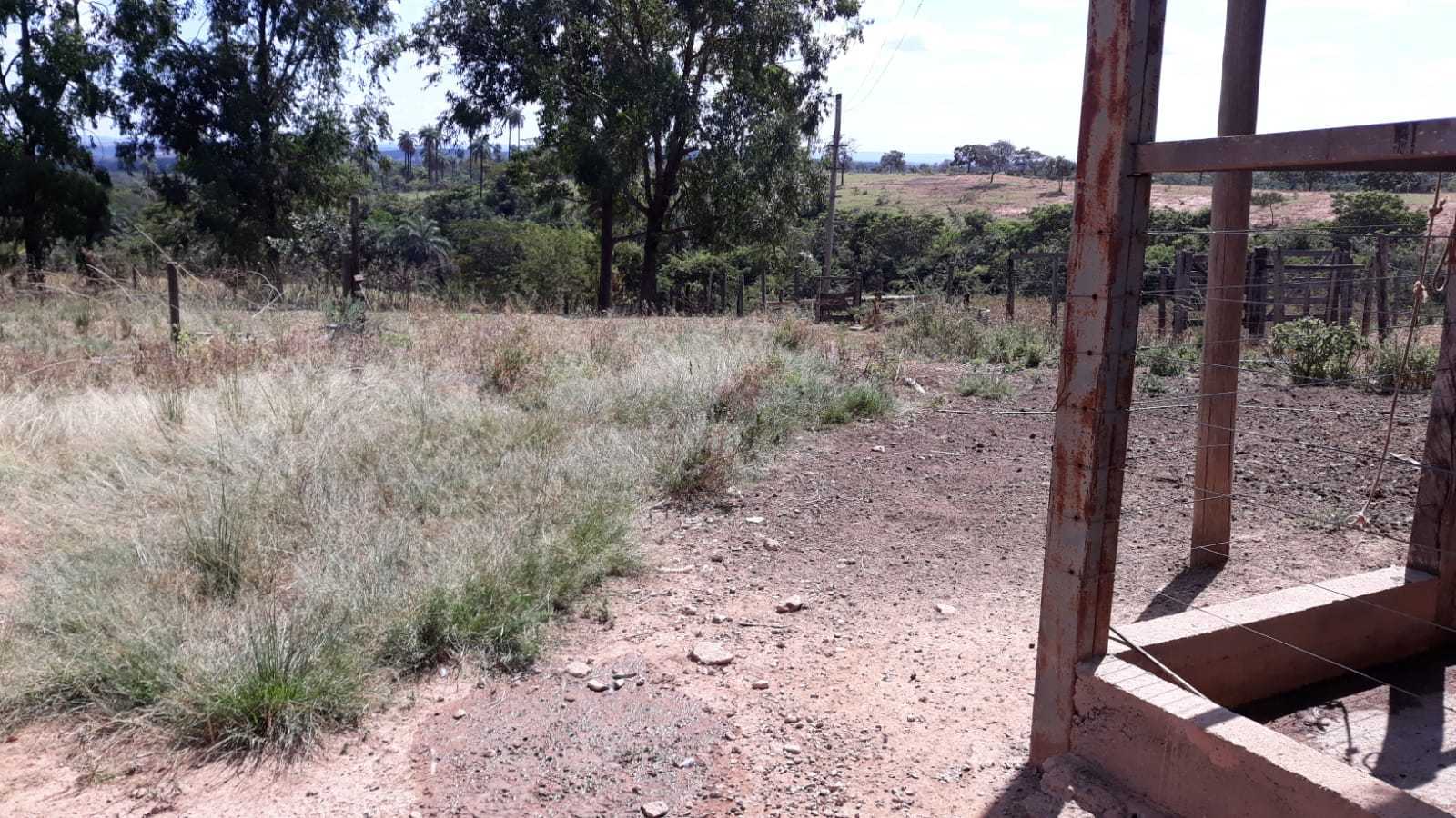 Fazenda, 752 hectares - Foto 14