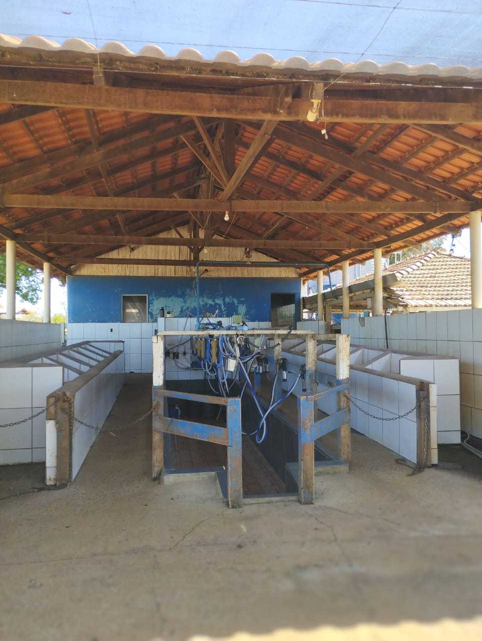 Sítio, 4 quartos, 20 hectares - Foto 20