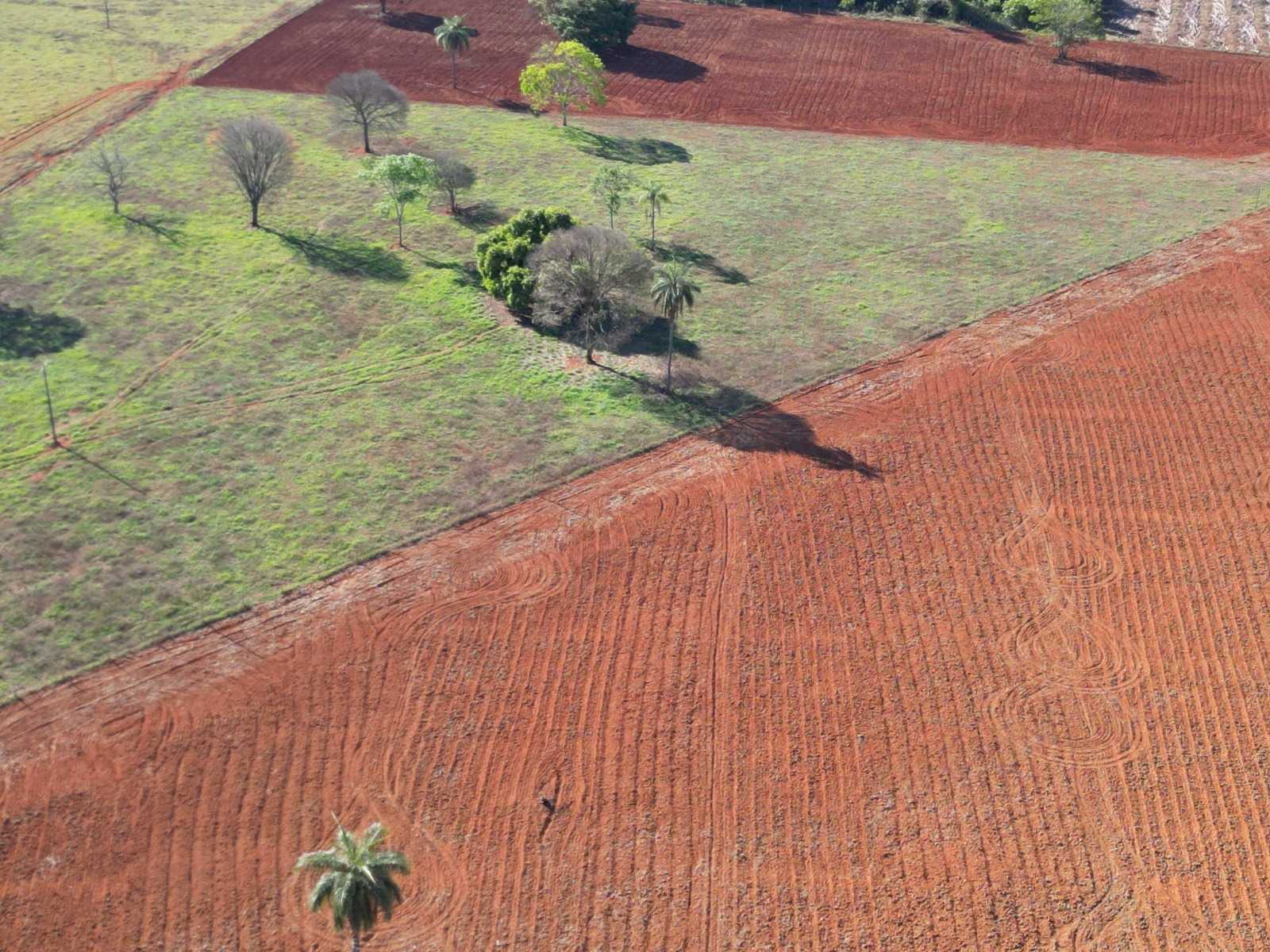 Sítio, 4 quartos, 20 hectares - Foto 9