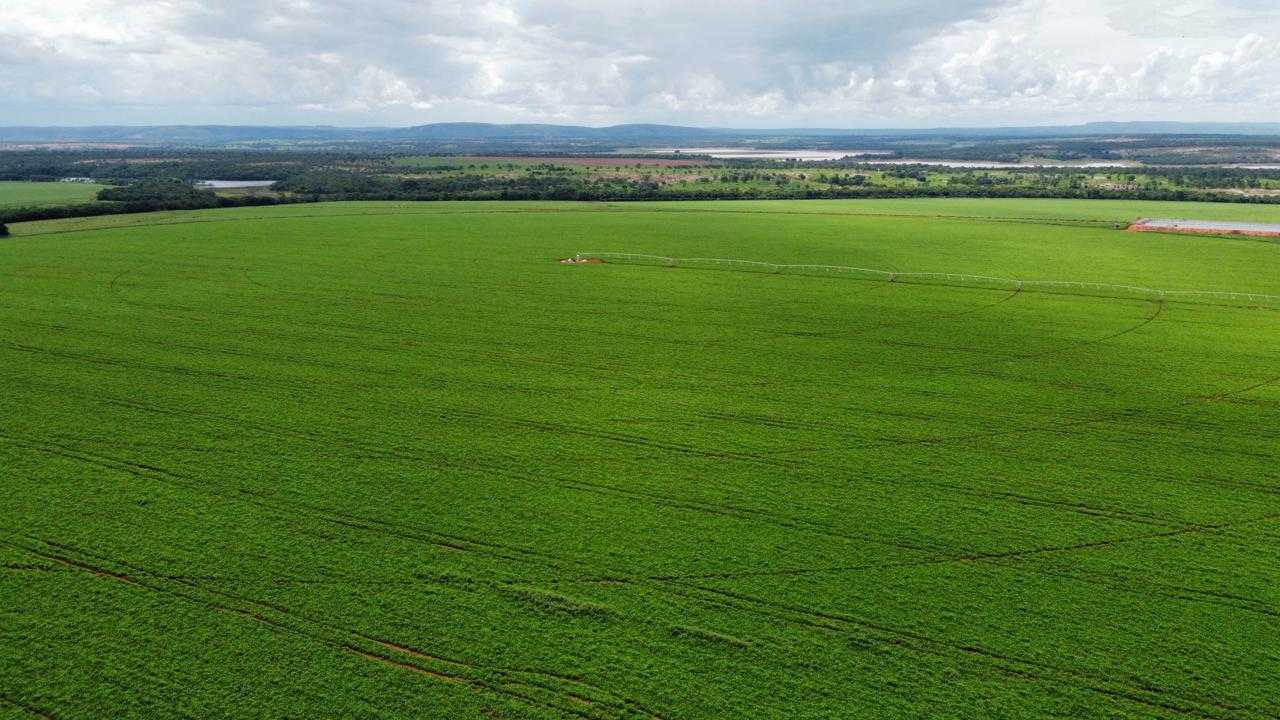 Fazenda, 818 hectares - Foto 1