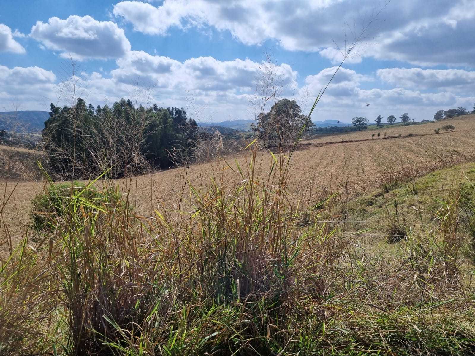 Fazenda, 226 hectares - Foto 25