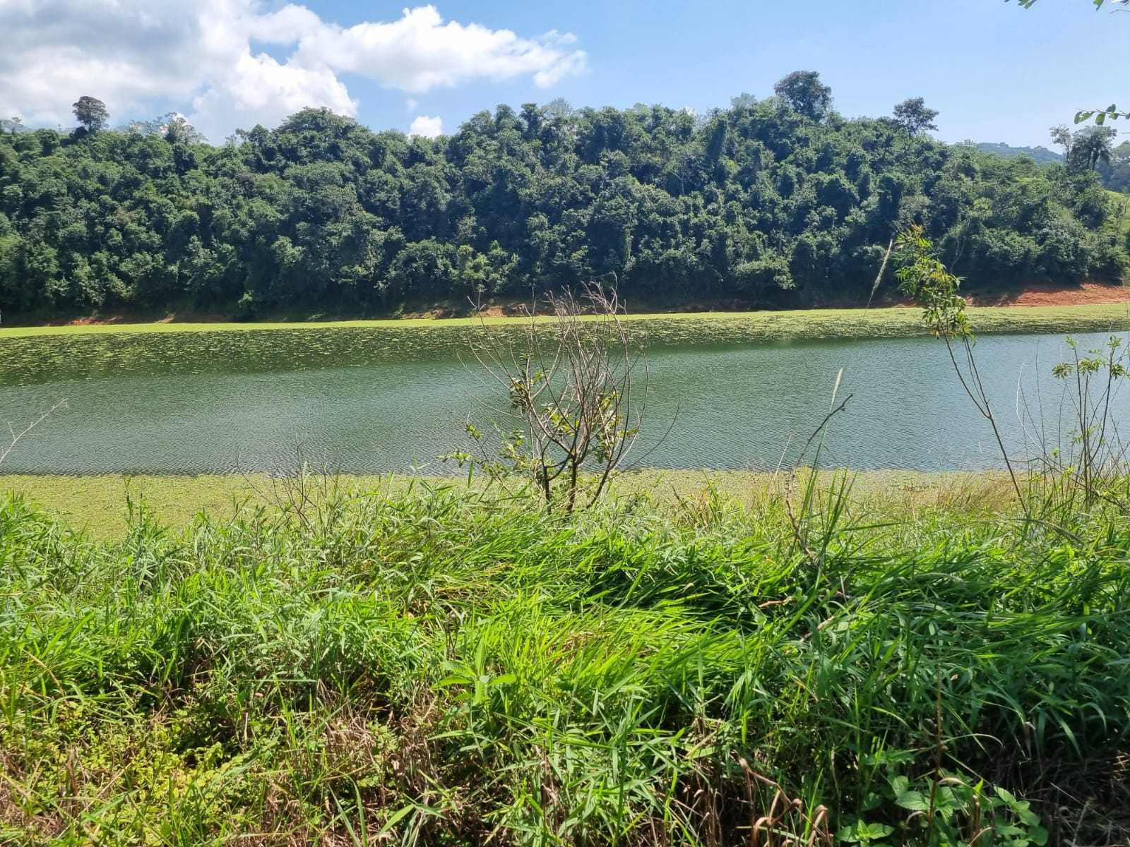 Fazenda, 226 hectares - Foto 5