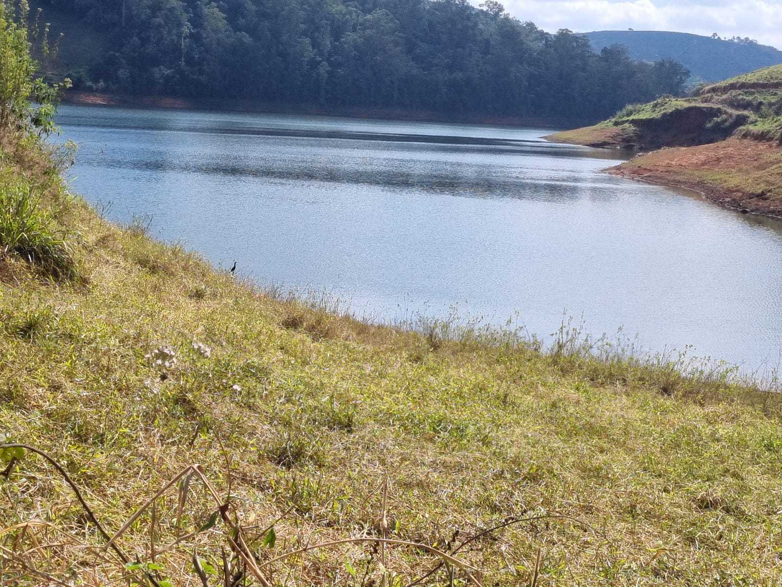 Fazenda, 226 hectares - Foto 2