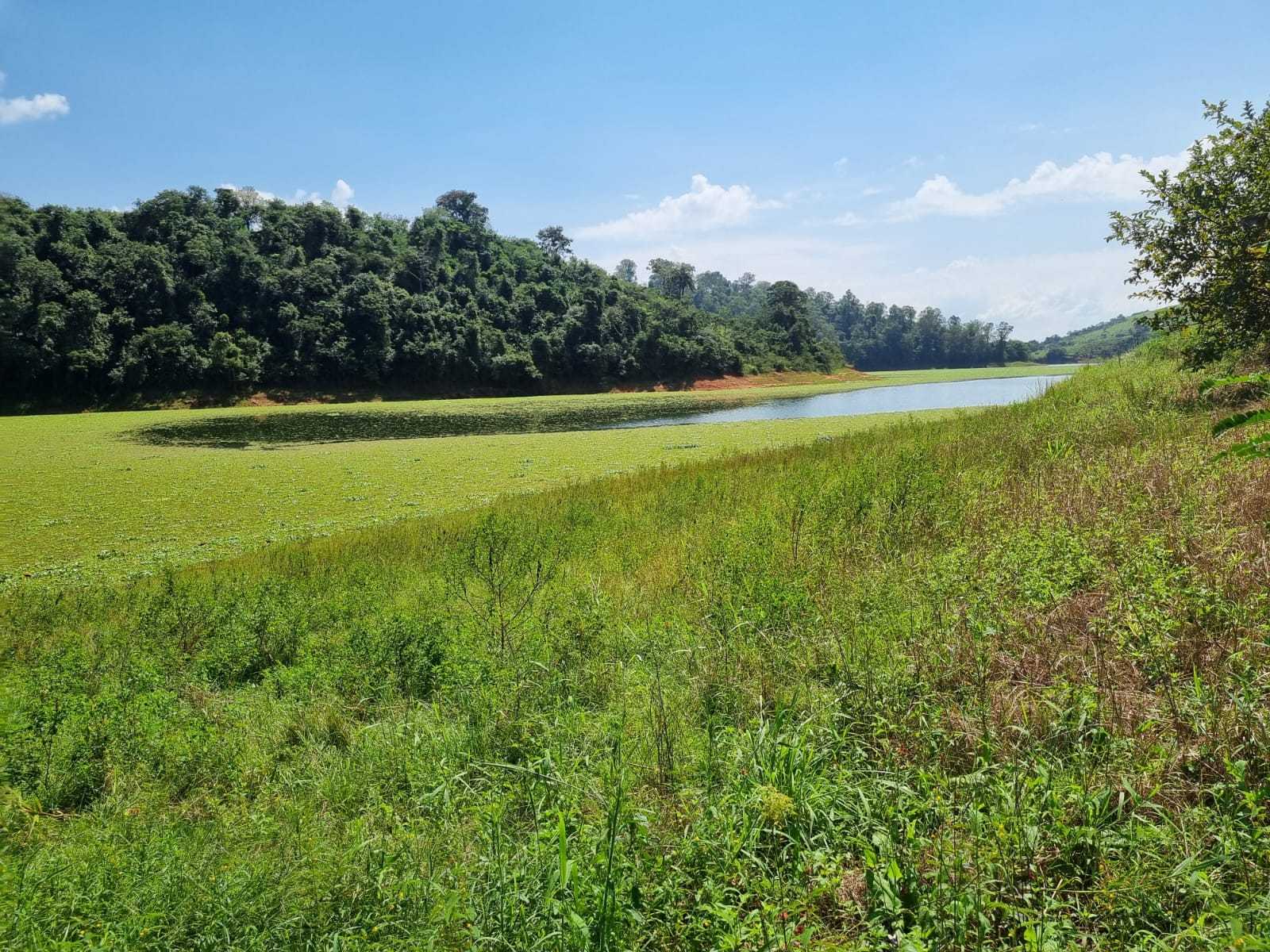 Fazenda, 226 hectares - Foto 15