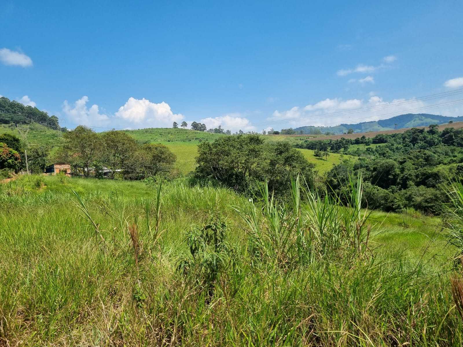 Fazenda, 226 hectares - Foto 13