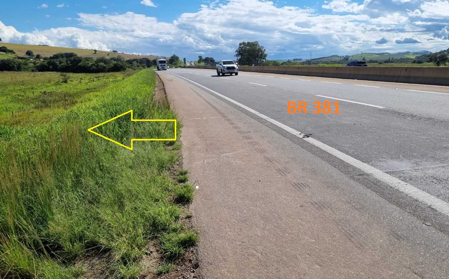 Fazenda, 100 hectares - Foto 8