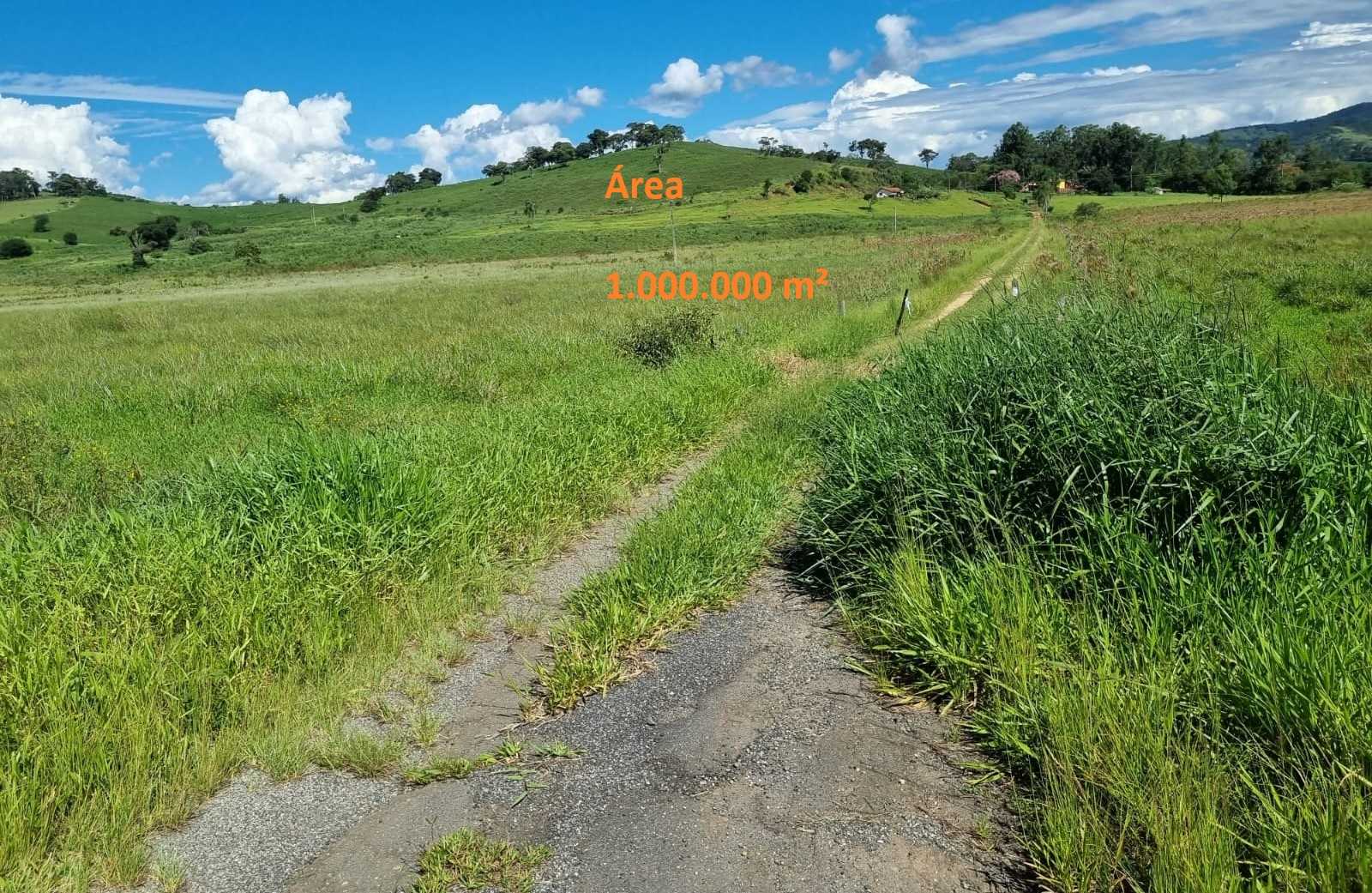 Fazenda, 100 hectares - Foto 5