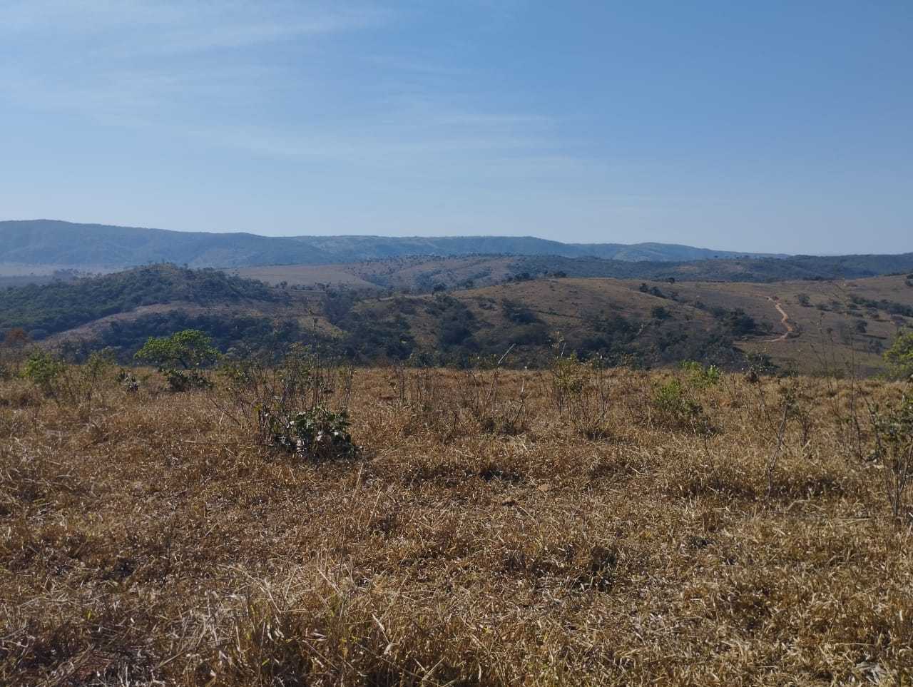 Fazenda, 1110 hectares - Foto 14