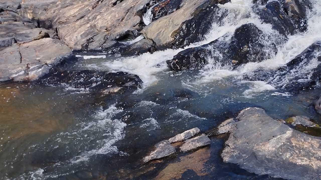 Fazenda, 1110 hectares - Foto 9