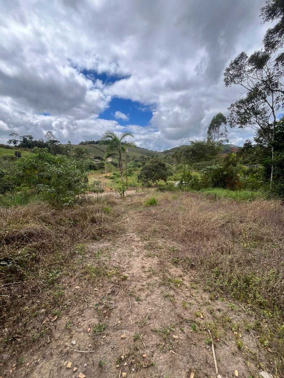 Chácara, 4 quartos, 2 hectares - Foto 9