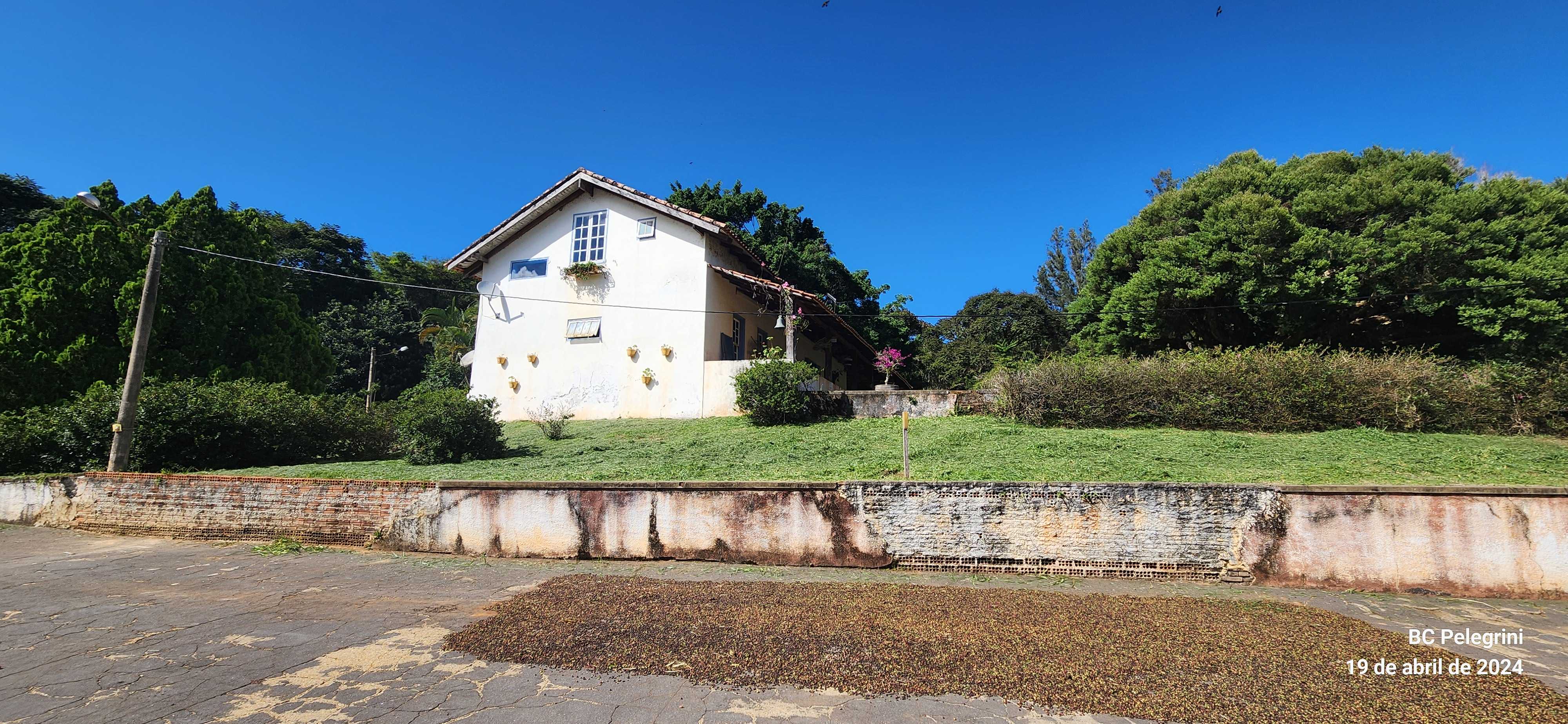 Fazenda, 150 hectares - Foto 2