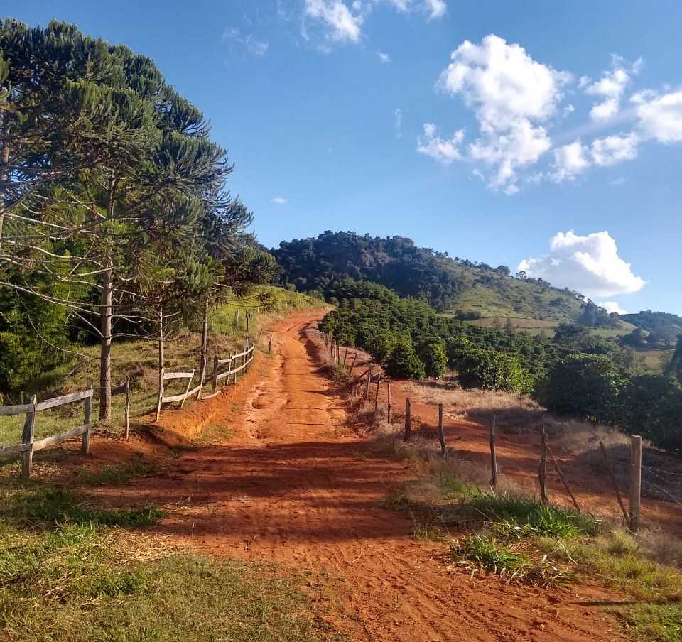Chácara, 4 quartos, 150 hectares - Foto 22