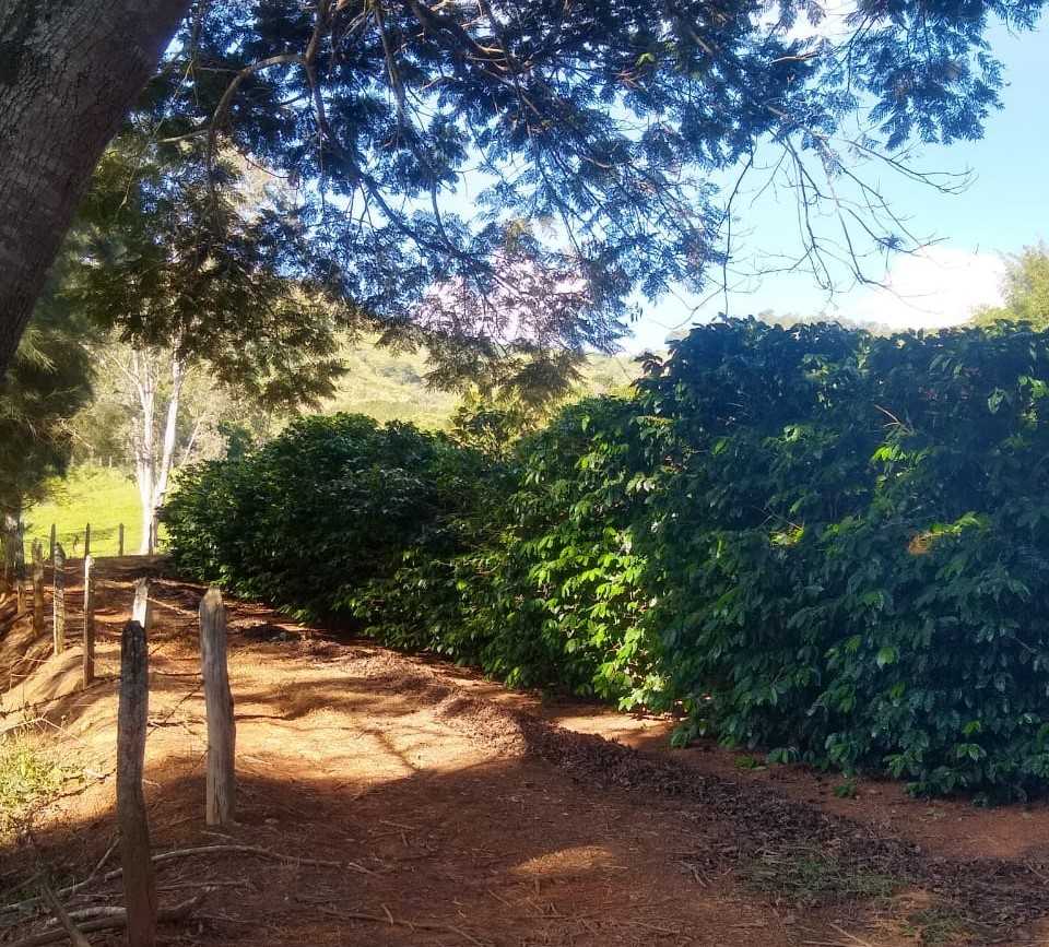 Chácara, 4 quartos, 150 hectares - Foto 23