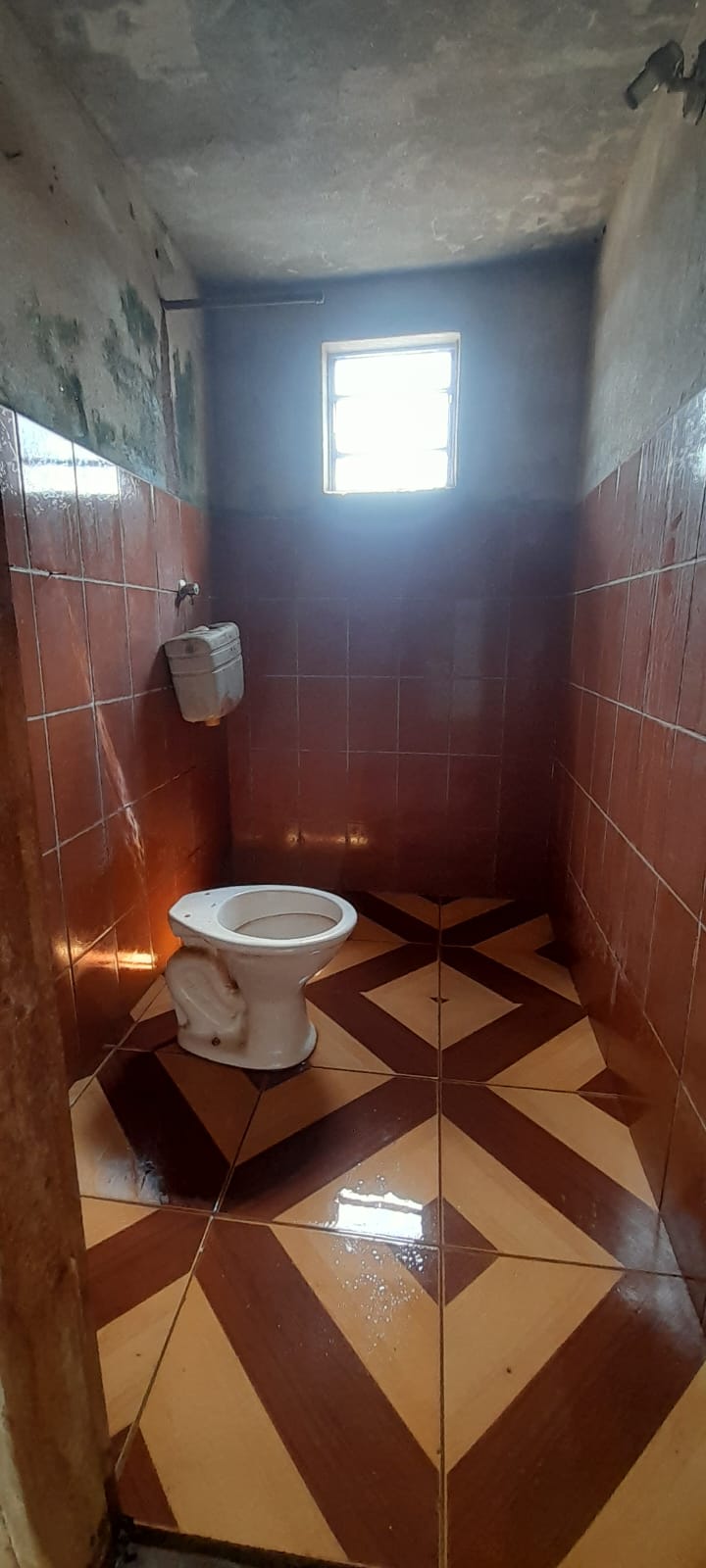 Casa, 3 quartos - Foto 20