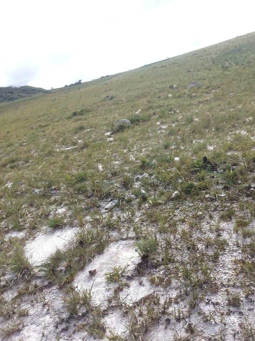 Fazenda, 300 hectares - Foto 4