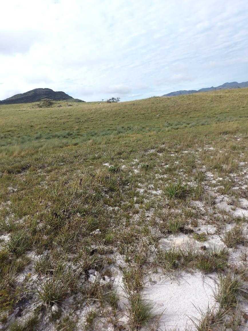 Fazenda, 300 hectares - Foto 2