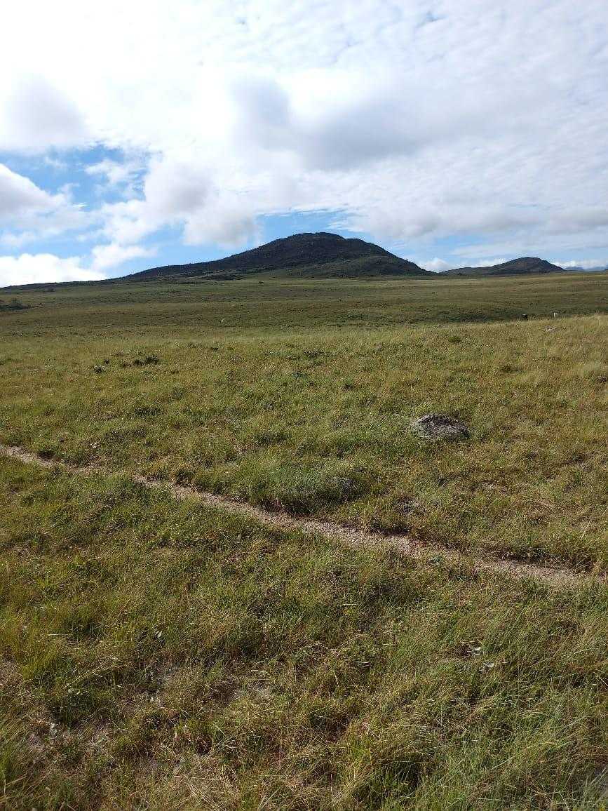 Fazenda, 300 hectares - Foto 5