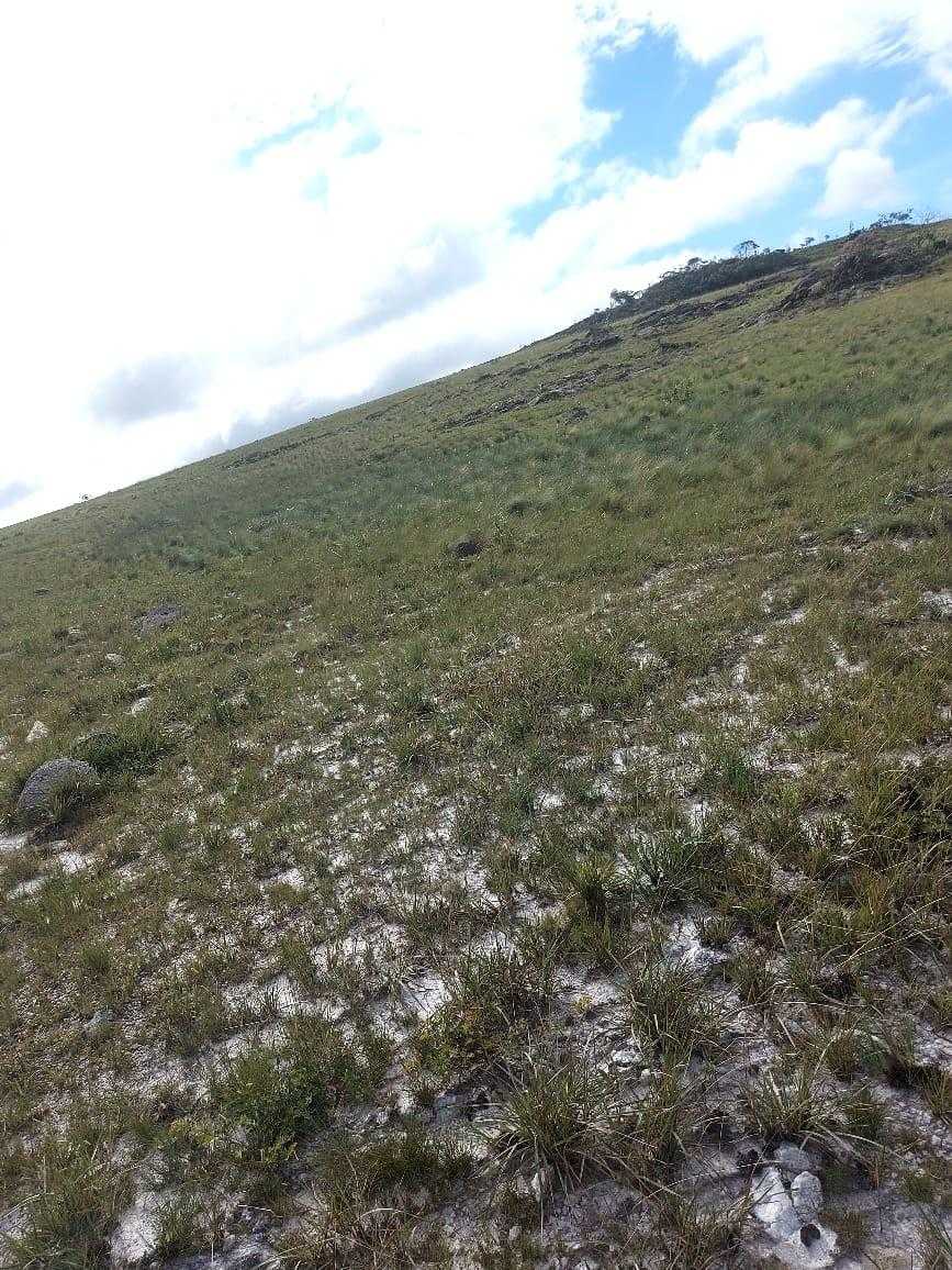 Fazenda, 300 hectares - Foto 1